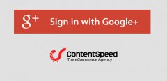 Google Login