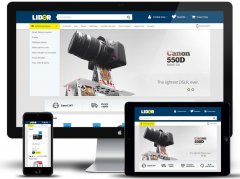Lider - Tema grafica Pro