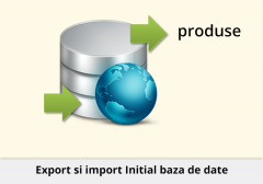 Export si Import Initial baza de date pentru produse