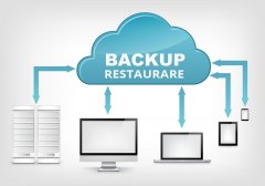 Restaurare date din Back-Up
